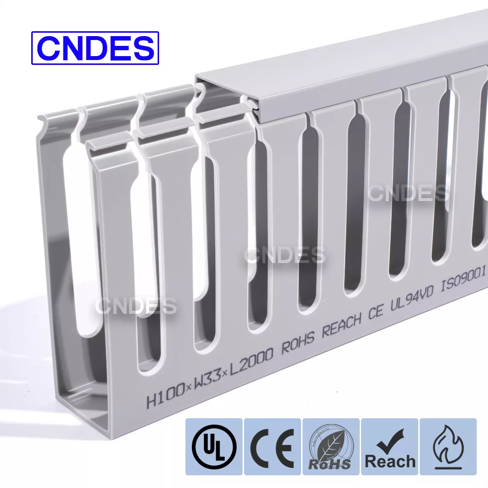 100×33 सर्व्हर रॅक केबल व्यवस्थापन